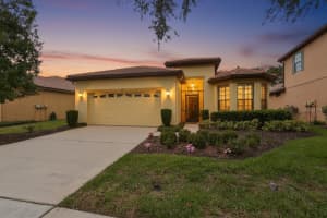 147 SILVER FALLS DRIVE, APOLLO BEACH, FL 33572 - MLS#MFRTB8509109