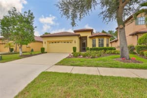 147 SILVER FALLS DRIVE, APOLLO BEACH, FL 33572 - MLS#MFRTB8509109