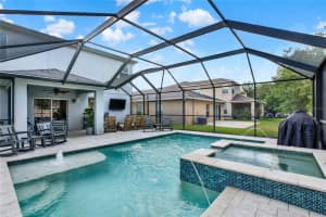 7873 TUSCANY WOODS DRIVE, TAMPA, FL 33647 - MLS#MFRTB8509118