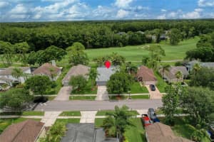 12823 ROYAL GEORGE AVENUE, ODESSA, FL 33556 - MLS#MFRTB8509128