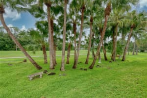 12823 ROYAL GEORGE AVENUE, ODESSA, FL 33556 - MLS#MFRTB8509128