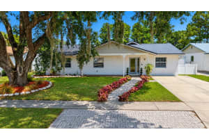 6640 WINDING OAK DRIVE, TAMPA, FL 33625 - MLS#MFRTB8509174