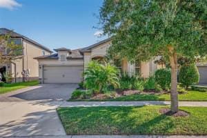 18744 BIRCHWOOD GROVES DRIVE, LUTZ, FL 33558 - MLS#MFRTB8509220