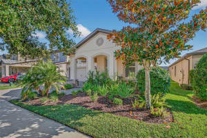 18744 BIRCHWOOD GROVES DRIVE, LUTZ, FL 33558 - MLS#MFRTB8509220