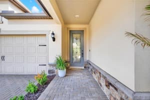 18744 BIRCHWOOD GROVES DRIVE, LUTZ, FL 33558 - MLS#MFRTB8509220