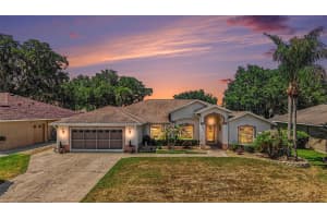 11132 MOSHIE LANE, SAN ANTONIO, FL 33576 - MLS#MFRTB8509226