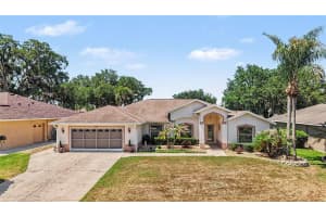 11132 MOSHIE LANE, SAN ANTONIO, FL 33576 - MLS#MFRTB8509226