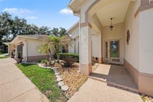 11132 MOSHIE LANE, SAN ANTONIO, FL 33576 - MLS#MFRTB8509226
