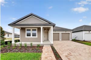 30119 EMERALD FOREST, MOUNT DORA, FL 32757 - MLS#MFRTB8509240