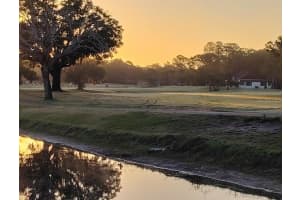 3549 INDIGO POND DRIVE, PALM HARBOR, FL 34685 - MLS#MFRTB8509250