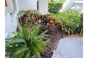 3549 INDIGO POND DRIVE, PALM HARBOR, FL 34685 - MLS#MFRTB8509250