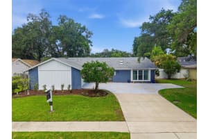 4221 Water Oaks Ln, TAMPA 4221 Water Oaks Ln, TAMPA