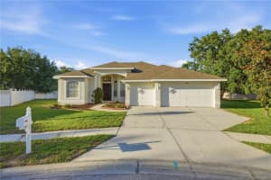 7006 Orvicti Ct, WESLEY CHAPEL