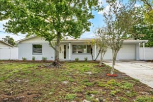 3800 LINKWOOD STREET, NEW PORT RICHEY, FL 34652 - MLS#MFRTB8509440