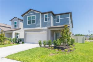 17703 HAPPYTRAILS STREET, LAND O LAKES, FL 34638 - MLS#MFRTB8509468