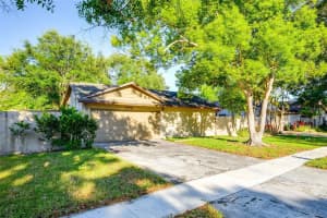 647 BONNIE BOULEVARD, PALM HARBOR, FL 34684 - MLS#MFRTB8509475
