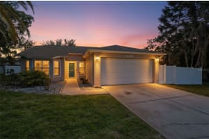 10616 BUCKS RUN, NEW PORT RICHEY, FL 34654 - MLS#MFRTB8509522
