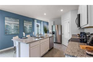 7182 FLINT CREEK DRIVE, LAND O LAKES, FL 34638 - MLS#MFRTB8509558