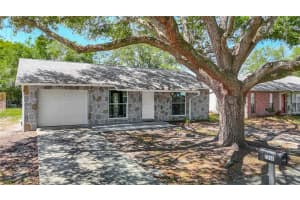 7310 IVORY TERRACE, NEW PORT RICHEY, FL 34655 - MLS#MFRTB8509572
