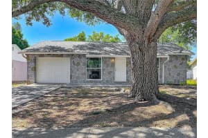 7310 IVORY TERRACE, NEW PORT RICHEY, FL 34655 - MLS#MFRTB8509572