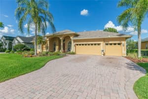 10717 CORY LAKE DRIVE, TAMPA, FL 33647 - MLS#MFRTB8509604