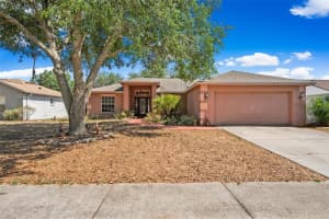 127 Winston Manor Cir, SEFFNER