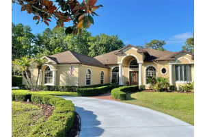 10852 PANICUM COURT, NEW PORT RICHEY, FL 34655 - MLS#MFRTB8509628
