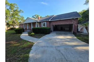 213 ARLINGTON AVENUE, OLDSMAR, FL 34677 - MLS#MFRTB8509657