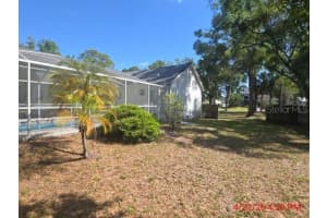 213 ARLINGTON AVENUE, OLDSMAR, FL 34677 - MLS#MFRTB8509657