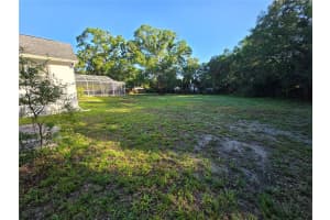 213 ARLINGTON AVENUE, OLDSMAR, FL 34677 - MLS#MFRTB8509657