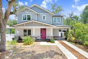 920 E Shadowlawn Ave, TAMPA
