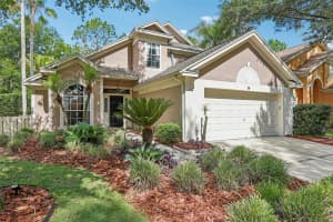 17702 LONG RIDGE ROAD, TAMPA, FL 33647 - MLS#MFRTB8509719