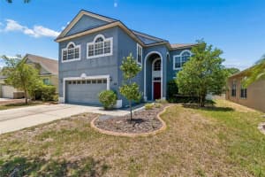 8718 SANDY PLAINS DRIVE, RIVERVIEW, FL 33578 - MLS#MFRTB8509736