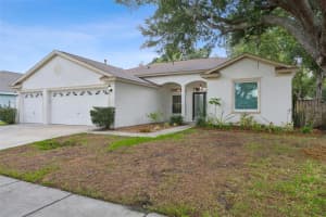 10113 TANTARA COURT, RIVERVIEW, FL 33578 - MLS#MFRTB8509744
