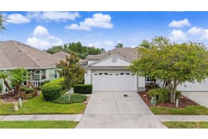19309 WEYMOUTH DRIVE, LAND O LAKES, FL 34638 - MLS#MFRTB8509760