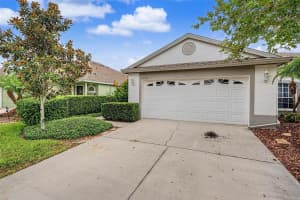 19309 WEYMOUTH DRIVE, LAND O LAKES, FL 34638 - MLS#MFRTB8509760