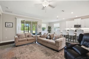 17135 SHELL BAY DRIVE, LAND O LAKES, FL 34638 - MLS#MFRTB8509761