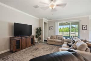 17135 SHELL BAY DRIVE, LAND O LAKES, FL 34638 - MLS#MFRTB8509761