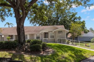 1465 OAK HILL DRIVE, DUNEDIN, FL 34698 - MLS#MFRTB8509765