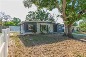 6321 S Renellie Ct, TAMPA