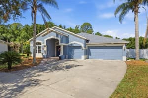 25540 RISEN STAR DRIVE, WESLEY CHAPEL, FL 33544 - MLS#MFRTB8509848