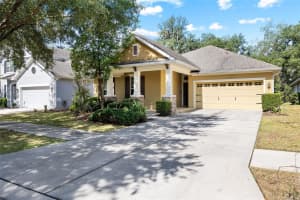 15841 STARLING WATER DRIVE, LITHIA, FL 33547 - MLS#MFRTB8509853