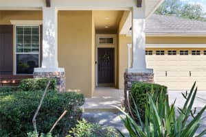 15841 STARLING WATER DRIVE, LITHIA, FL 33547 - MLS#MFRTB8509853