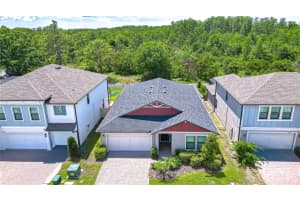 21534 Violet Periwinkle Dr, LAND O LAKES 21534 Violet Periwinkle Dr, LAND O LAKES