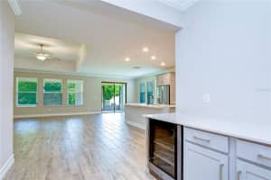 21534 VIOLET PERIWINKLE DRIVE, LAND O LAKES, FL 34637 - MLS#MFRTB8509889