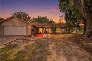 7327 SUNSHINE CIRCLE, TAMPA, FL 33634 - MLS#MFRTB8509906