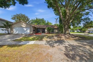 7327 SUNSHINE CIRCLE, TAMPA, FL 33634 - MLS#MFRTB8509906