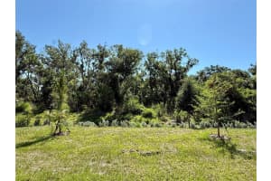 10874 CURVING CREEK LOOP, PARRISH, FL 34219 - MLS#MFRTB8509912