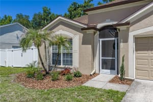 4552 STEEL DUST LANE, LUTZ, FL 33559 - MLS#MFRTB8509951