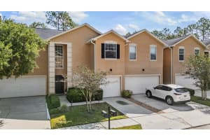 16309 Worchester Palms Ct, TAMPA 16309 Worchester Palms Ct, TAMPA